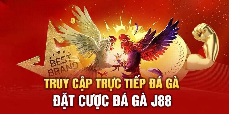 Chiến thuật chơi đá gà tại J88 hiệu quả