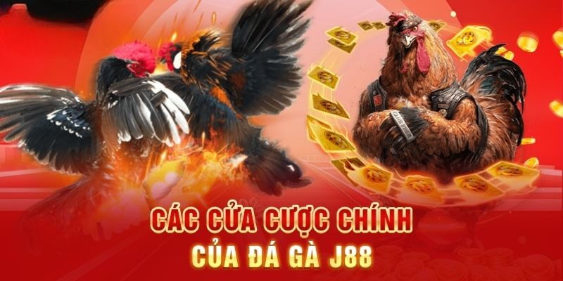 Tìm hiểu thông tin về hình thức sử dụng cựa dao tại J88