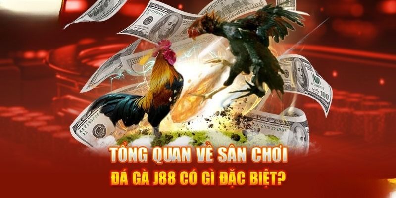 Đá gà cựa sắt - Hình thức thi đấu chọi gà đầy hấp dẫn tại J88