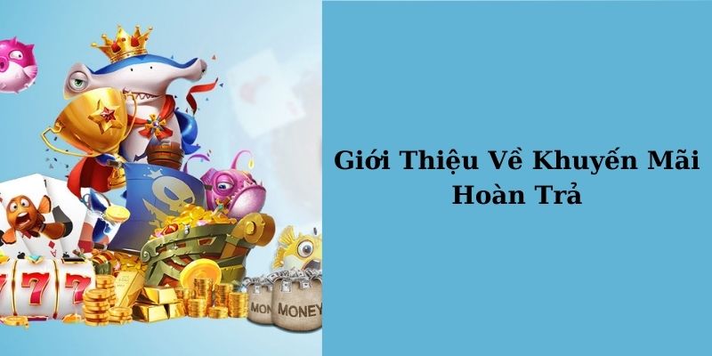 Ưu đãi giúp thành viên nhận thưởng hấp dẫn